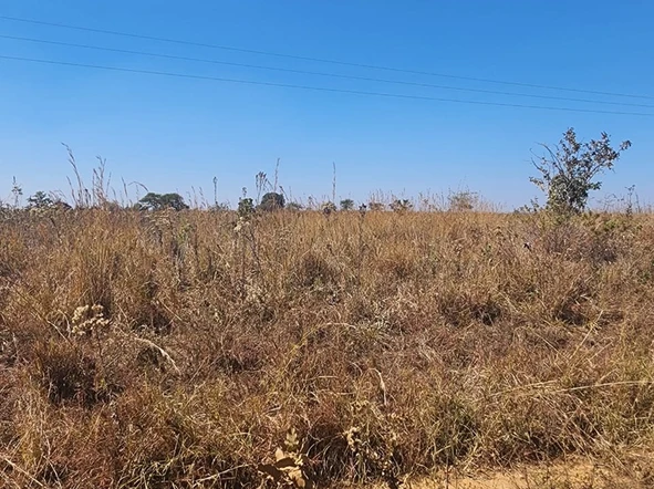 Farm & Agricultural Land
