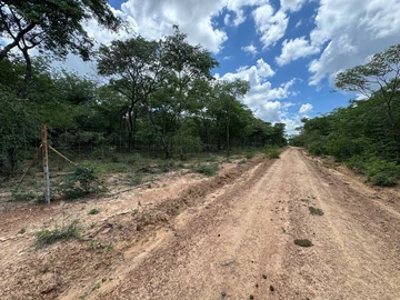 Farm & Agricultural Land