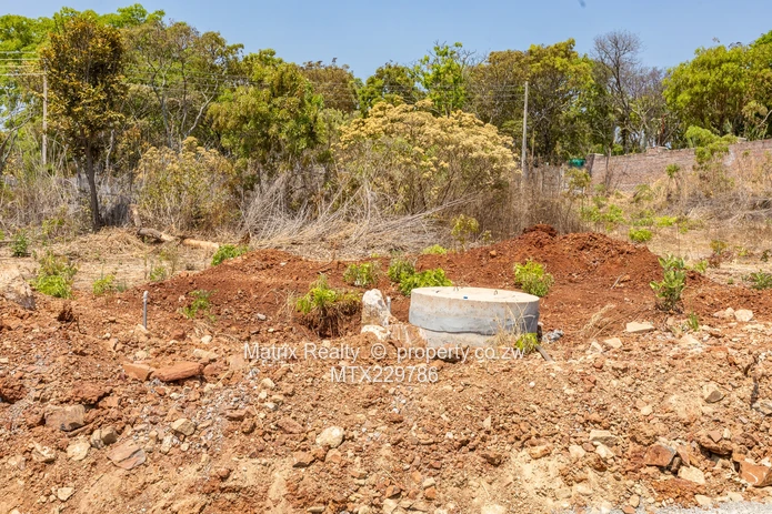 Cluster Stands in Hogerty Hill for Sale