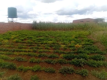 Commercial & Industrial Land