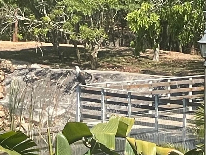 Luxurious Farmhouse Estate in Ruwa, Harare