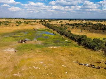 Farm & Agricultural Land