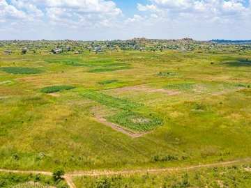 Stands & Residential Land