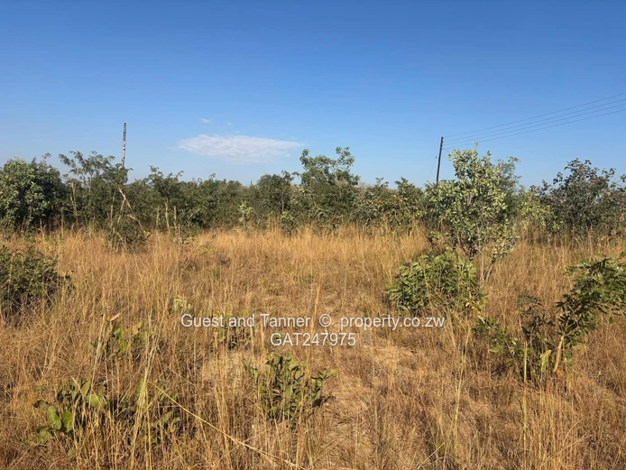 Nyabira Lilfordia Phase 3 Stand For Sale  (Sole Mandate)