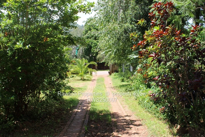 Superb opportunity in Greystone Park