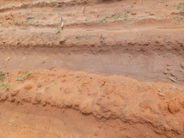 Farm & Agricultural Land