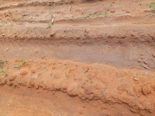 Farm & Agricultural Land