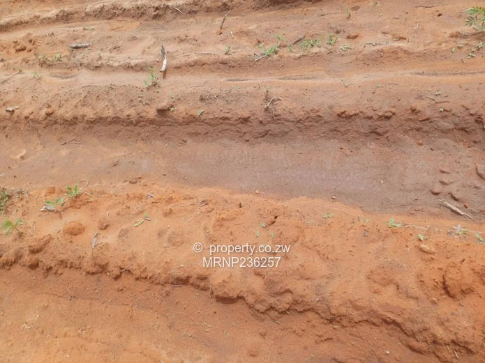 Headlands EagleNest Plot for sale (Sole Mandate)