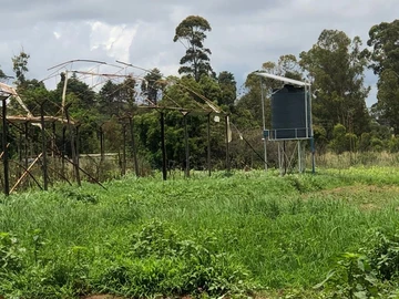 Farm & Agricultural Land