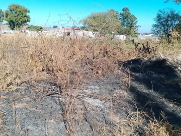 Commercial & Industrial Land