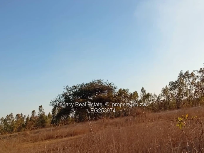 50.6ha Zvimba Farm — Fenced Grazing, Arable Land & Dam (Sole Mandate)