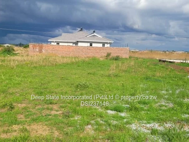 Westgate shine plus stand for sales