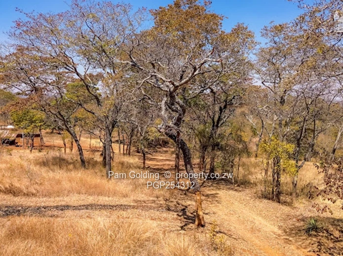 Rare 100 Acre Plot in the Path of Harare's Urban Expansion (Sole Mandate)
