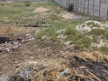 Stands & Residential Land