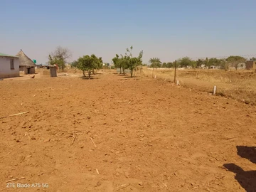 Farm & Agricultural Land