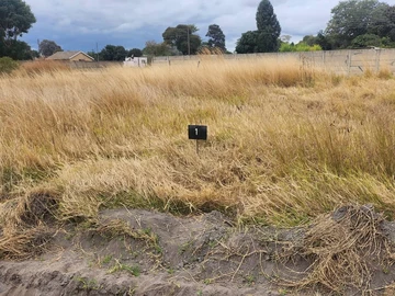 Stands & Residential Land