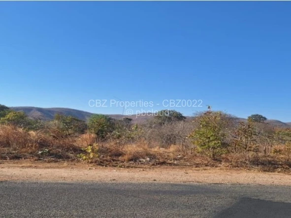 Commercial & Industrial Land