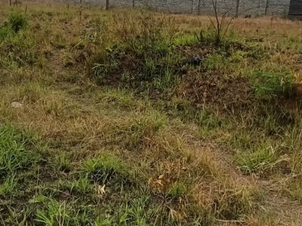 Commercial & Industrial Land