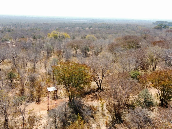 Commercial & Industrial Land