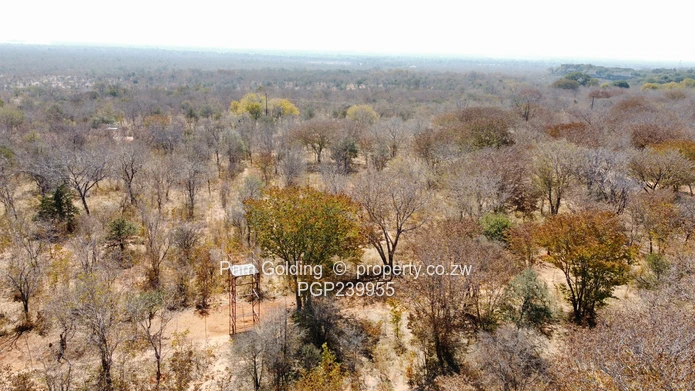 Prime Development Land on the Victoria Falls Game Corridor (Sole Mandate)