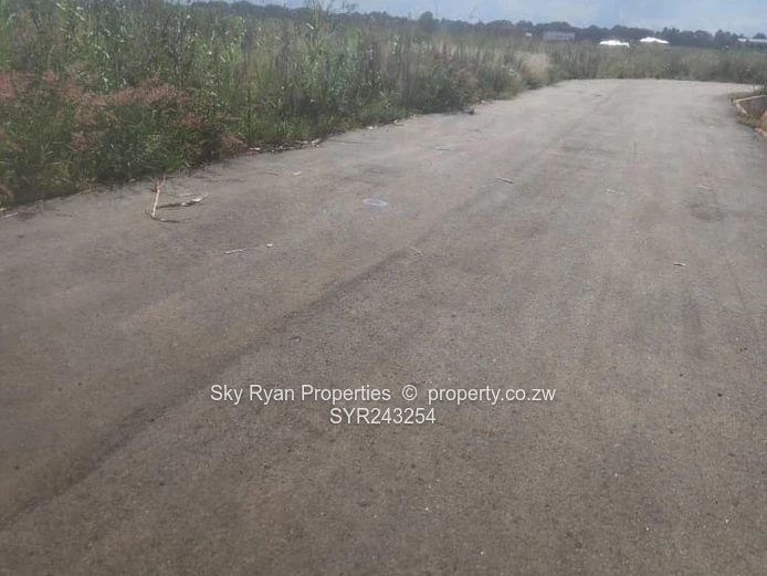 Pomona City Stand For Sale