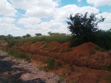 Stands & Residential Land