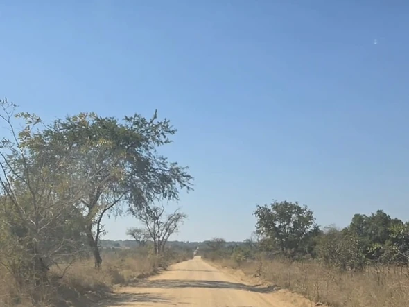 Farm & Agricultural Land