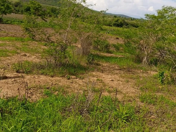 Farm & Agricultural Land