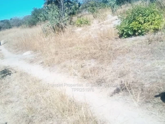 10ha Kwekwe  Farm — Gravel Tracks & Arable Land