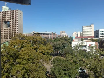 3 Bedroom Flat & Apartment