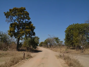 Farm & Agricultural Land