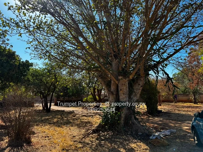 Eastlea: 3-Bed Home on 2,526 m² — Walled, Verandah
