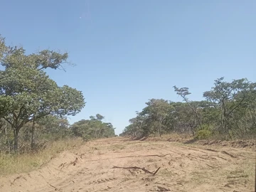 Farm & Agricultural Land