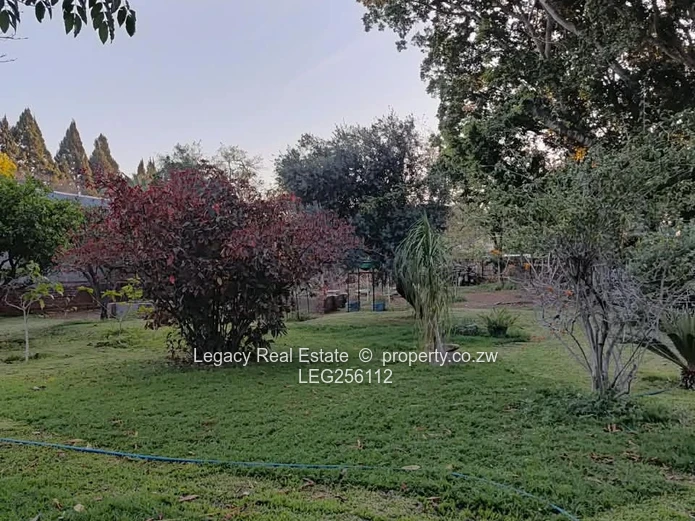 Burnside 4-Bed Oasis: Pool, Borehole & 4047m2 Garden