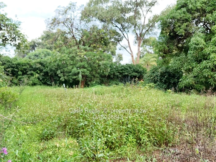 Conveniently located property with vast potential