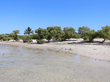 Prime Beachfront Property in Mozambique