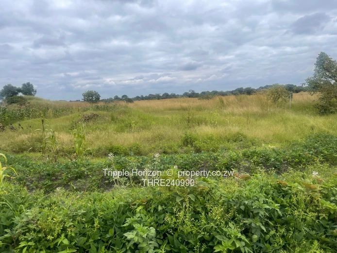 18,000m² Norton Farm — Orchard, Grazing & Main Access