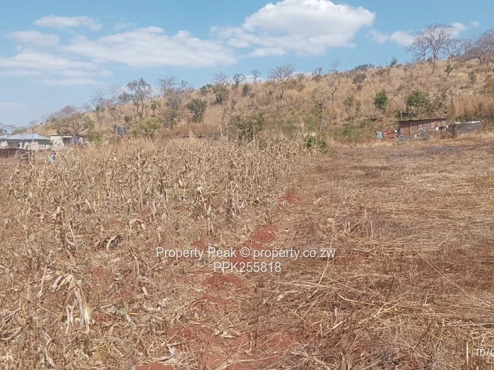 Crowhill Views (Maredza Area) Stand – 1000m² 