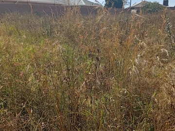 Commercial & Industrial Land