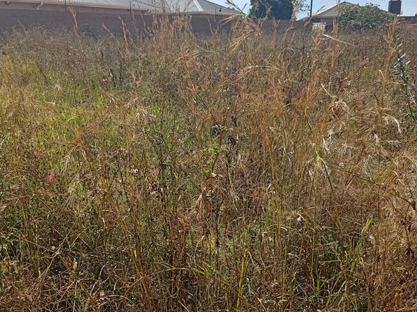 Commercial & Industrial Land