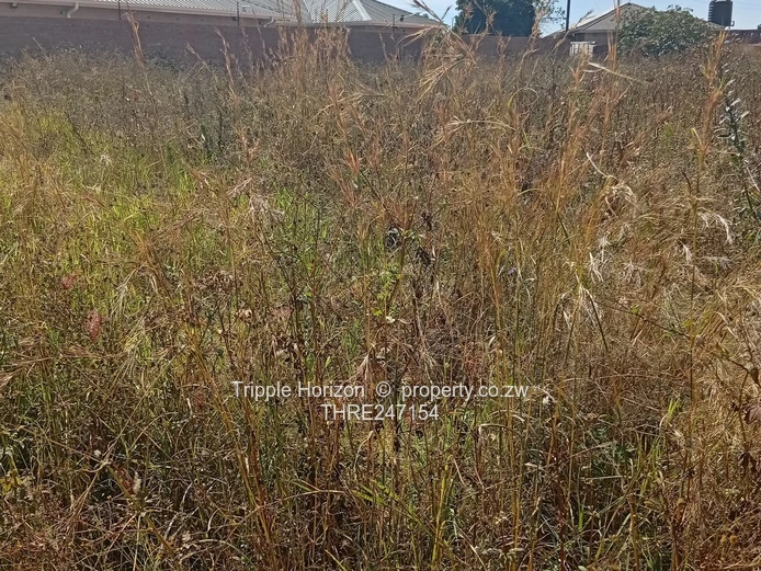 Prime 1600m² Commercial Lot  in Evelengus Damofalls with Main Road Frontage