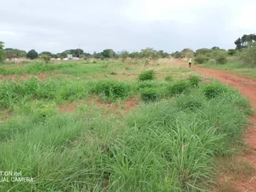 Commercial & Industrial Land