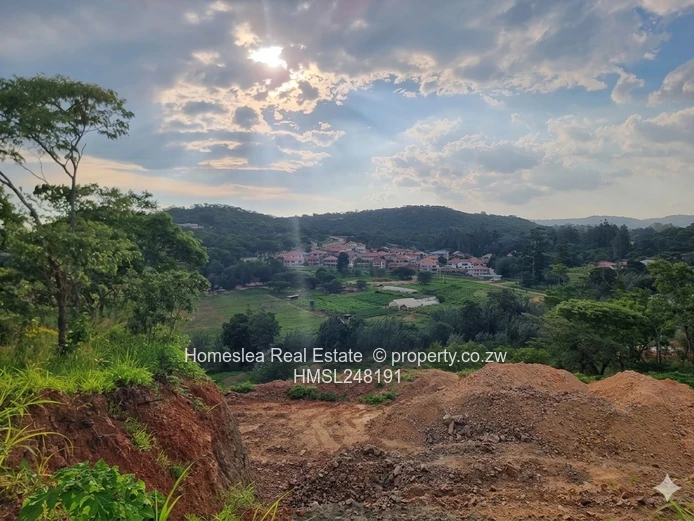 Massive Bargain Land