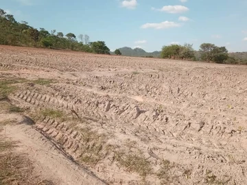 Farm & Agricultural Land