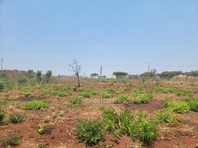 Residential stands with individual title deeds 