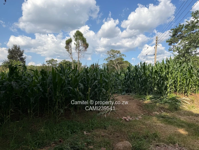 Mabelreign 4995 stand up for sale with clean title deed in between houses