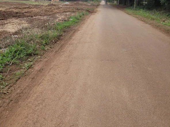 Stands & Residential Land