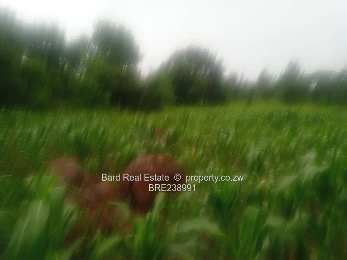 26ha Borrowdale — Subdivide-Ready, Main Road Frontage