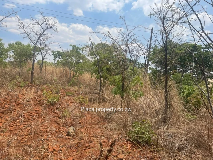 Stand For Sale – Norton, Knowe Phase 1