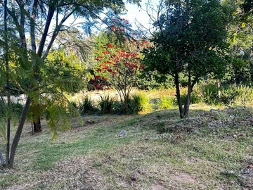 Land